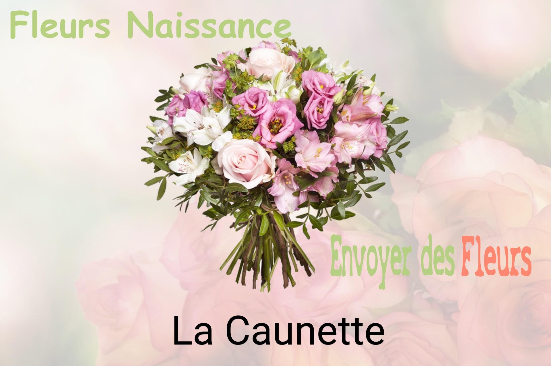 Bouquet de fleurs de naissance livré à La Caunette