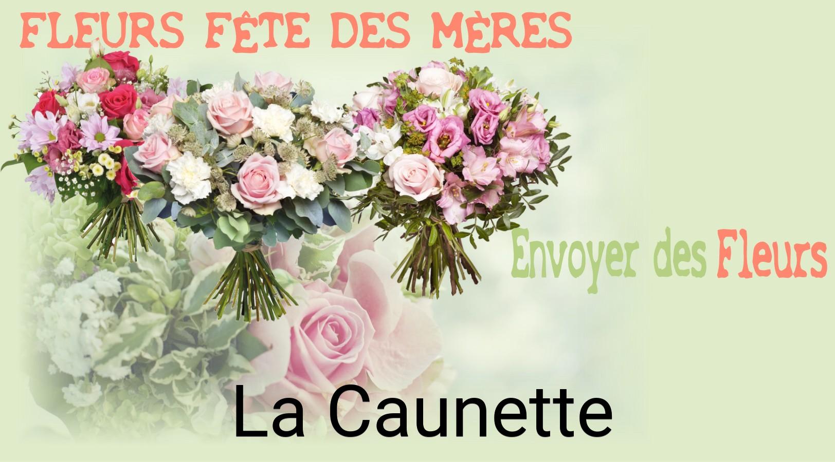 Bouquet de Fête des Mères livré à La Caunette